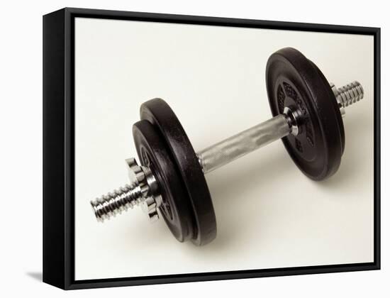 Weights-Chris Trotman-Framed Stretched Canvas