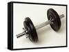 Weights-Chris Trotman-Framed Stretched Canvas