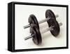 Weights-Chris Trotman-Framed Stretched Canvas