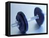 Weights-Chris Trotman-Framed Stretched Canvas