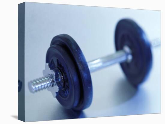 Weights-Chris Trotman-Stretched Canvas