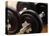 Weights-Chris Trotman-Stretched Canvas