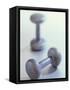 Weights-Chris Trotman-Framed Stretched Canvas