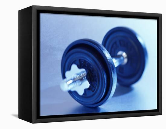 Weights-Chris Trotman-Framed Stretched Canvas