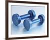 Weights-Chris Trotman-Framed Photographic Print