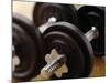 Weights-Chris Trotman-Mounted Photographic Print