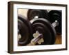 Weights-Chris Trotman-Framed Photographic Print