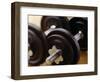 Weights-Chris Trotman-Framed Photographic Print