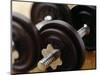 Weights-Chris Trotman-Mounted Photographic Print