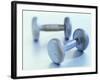 Weights-Chris Trotman-Framed Photographic Print