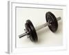 Weights-Chris Trotman-Framed Photographic Print