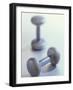 Weights-Chris Trotman-Framed Photographic Print