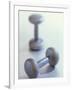 Weights-Chris Trotman-Framed Photographic Print