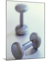 Weights-Chris Trotman-Mounted Photographic Print