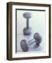 Weights-Chris Trotman-Framed Photographic Print