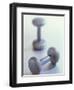 Weights-Chris Trotman-Framed Photographic Print