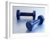 Weights-Chris Trotman-Framed Photographic Print