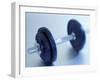 Weights-Chris Trotman-Framed Photographic Print