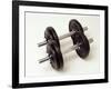 Weights-Chris Trotman-Framed Photographic Print