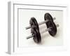 Weights-Chris Trotman-Framed Photographic Print