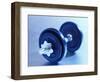 Weights-Chris Trotman-Framed Photographic Print