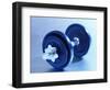 Weights-Chris Trotman-Framed Photographic Print