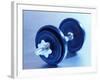 Weights-Chris Trotman-Framed Photographic Print