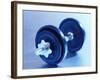 Weights-Chris Trotman-Framed Photographic Print