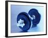 Weights-Chris Trotman-Framed Photographic Print