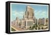 Weill Cornell Medical Center, New York City-null-Framed Stretched Canvas