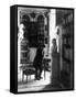 Weimar, Library, Rococo Room, Ca.1904-null-Framed Stretched Canvas