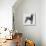 Weimaraner (Canis Lupus), Canidae, Drawing-null-Stretched Canvas displayed on a wall