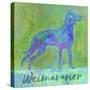 Weimaraner Dog-Cora Niele-Stretched Canvas