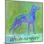 Weimaraner Dog-Cora Niele-Mounted Giclee Print