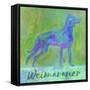 Weimaraner Dog-Cora Niele-Framed Stretched Canvas