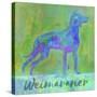 Weimaraner Dog-Cora Niele-Stretched Canvas