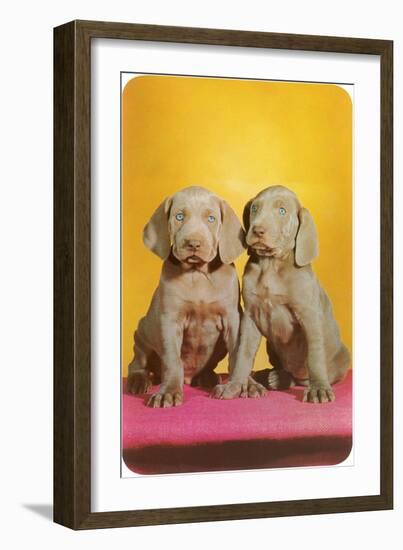 Weimaraner Puppies-null-Framed Art Print