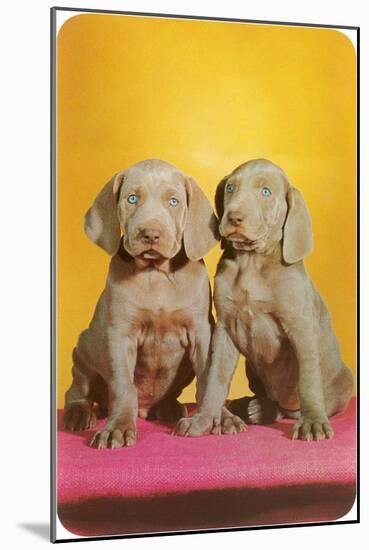 Weimaraner Puppies-null-Mounted Art Print