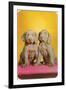 Weimaraner Puppies-null-Framed Art Print