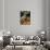 Weimaraner Puppy Climbing onto Pumpkin-Guy Cali-Mounted Photographic Print displayed on a wall