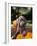 Weimaraner Puppy Climbing onto Pumpkin-Guy Cali-Framed Photographic Print