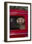 Weimaraner Sitting in an Automobile-DLILLC-Framed Photographic Print