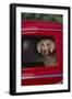 Weimaraner Sitting in an Automobile-DLILLC-Framed Photographic Print