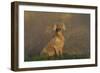 Weimaraner Sitting in Grass by Pond and Autumn Reflections on Foggy Morning, Killingworth-Lynn M^ Stone-Framed Photographic Print