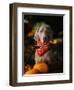 Weimaraner Wearing a Red Bandana-Guy Cali-Framed Photographic Print