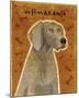 Weimaraner-John Golden-Mounted Giclee Print