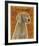 Weimaraner-John W^ Golden-Framed Art Print