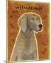 Weimaraner-John W^ Golden-Mounted Art Print