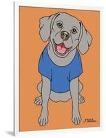 Weimaraner-Tomoyo Pitcher-Framed Giclee Print