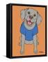 Weimaraner-Tomoyo Pitcher-Framed Stretched Canvas